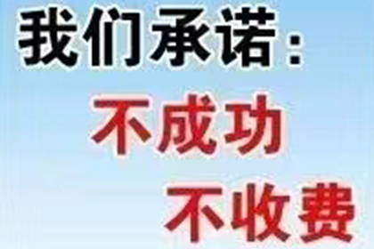 鸠江追债公司